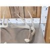 Image 7 : Nice Group Of 6 Bigger Whitetail Shed Antlers