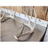 Image 8 : Nice Group Of 6 Bigger Whitetail Shed Antlers