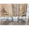 Image 1 : Main Frame 4x4 Wild Iowa Whitetail Shed Antlers