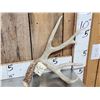 Image 2 : Main Frame 4x4 Wild Iowa Whitetail Shed Antlers