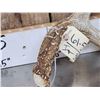 Image 3 : Main Frame 4x4 Wild Iowa Whitetail Shed Antlers
