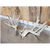 Image 3 : Main Frame 5x5 Whitetail Shed Antlers