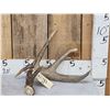 Image 1 : Heavy Mass Canadian 4 Point Whitetail Shed Antler