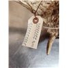 Image 6 : HEAVY Mass Main Frame 6x6 Whitetail Shed Antlers