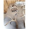 Image 10 : 18.4 Lbs Of Nice Whitetail Shed Antlers