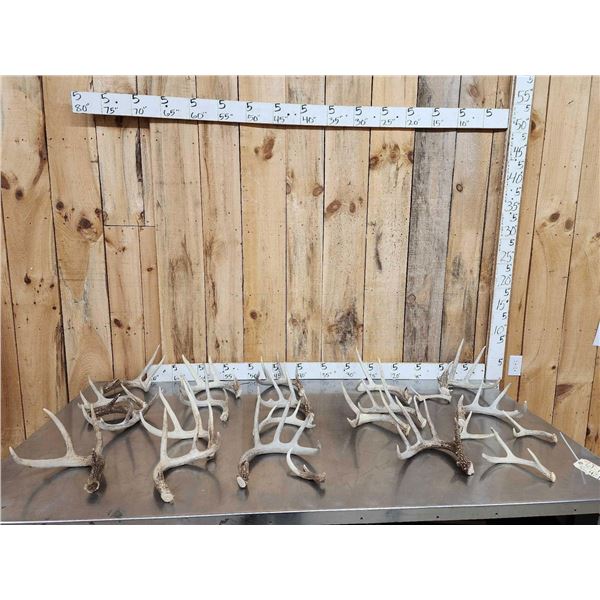 18.4 Lbs Of Nice Whitetail Shed Antlers