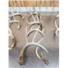 Image 4 : 18.4 Lbs Of Nice Whitetail Shed Antlers