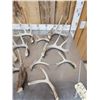 Image 6 : 18.4 Lbs Of Nice Whitetail Shed Antlers