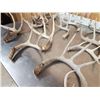 Image 9 : 18.4 Lbs Of Nice Whitetail Shed Antlers