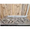 Image 1 : 20.6 Lbs Of Whitetail Shed Antlers