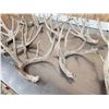 Image 3 : 20.6 Lbs Of Whitetail Shed Antlers
