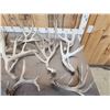 Image 2 : 24.5 Lbs Of Whitetail Shed Antlers