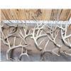 Image 3 : 24.5 Lbs Of Whitetail Shed Antlers
