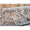 Image 4 : 24.5 Lbs Of Whitetail Shed Antlers