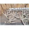Image 5 : 24.5 Lbs Of Whitetail Shed Antlers
