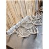 Image 6 : 24.5 Lbs Of Whitetail Shed Antlers