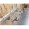 Image 6 : 7 Sets Of Whitetail Antlers On Skull Plate