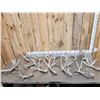 Image 1 : 19.6 Lbs Of Whitetail Shed Antlers