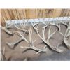 Image 4 : 19.6 Lbs Of Whitetail Shed Antlers