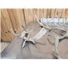 Image 7 : 19.6 Lbs Of Whitetail Shed Antlers