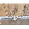 Image 14 : 7 Sets Of Freak Nontypical Whitetail Antlers On Skull Plate