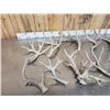 Image 2 : 16.2 Lbs Of Whitetail Shed Antlers