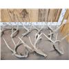 Image 6 : 16.2 Lbs Of Whitetail Shed Antlers
