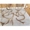 Image 2 : 17 Lbs of Mule Deer Antlers