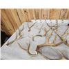 Image 4 : 17 Lbs of Mule Deer Antlers