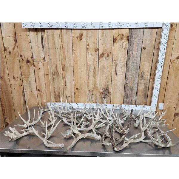 34.6  Lbs Of Gnarly Nontypical Whitetail Shed Antlers