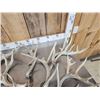 Image 3 : 34.6  Lbs Of Gnarly Nontypical Whitetail Shed Antlers