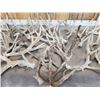 Image 4 : 34.6  Lbs Of Gnarly Nontypical Whitetail Shed Antlers