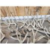 Image 7 : 34.6  Lbs Of Gnarly Nontypical Whitetail Shed Antlers