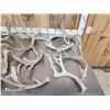 Image 2 : 32.1 Lbs Of Whitetail Shed Antlers