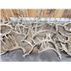 Image 4 : 32.1 Lbs Of Whitetail Shed Antlers
