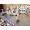 Image 10 : 22.3 Lbs Of Whitetail Antlers