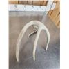 Image 12 : 22.3 Lbs Of Whitetail Antlers
