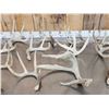 Image 3 : 22.3 Lbs Of Whitetail Antlers