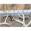 Image 4 : 22.3 Lbs Of Whitetail Antlers