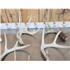 Image 6 : 22.3 Lbs Of Whitetail Antlers