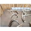 Image 8 : 22.3 Lbs Of Whitetail Antlers