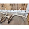 Image 2 : Crazy Big Wild Main Frame 3x3 Whitetail Shed Antlers