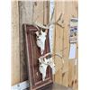 Image 3 : 2 Whitetail Skulls On Rustic Barn Wood Plaque