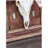 Image 4 : 2 Whitetail Skulls On Rustic Barn Wood Plaque