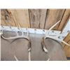 Image 2 : Group Of 6 Wild Iowa Whitetail Shed Antlers
