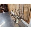 Image 4 : 26 Point Whitetail Antlers In Velvet On Skull Plate