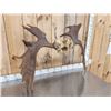 Image 6 : 42" Wide Moose Antlers On Skull Plate