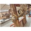 Image 4 : Impressive 71" Wide Record Book Reproduction Moose Antlers On Skull Plate
