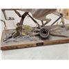 Image 11 : Extra Nice Texas Whitetail Full Body Taxidermy Mount