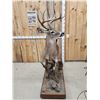 Image 7 : Extra Nice Texas Whitetail Full Body Taxidermy Mount